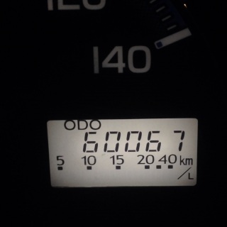 6��������