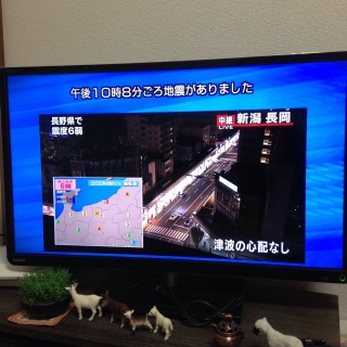 �т����肵��