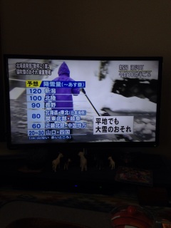 �����܂��ς��邩��