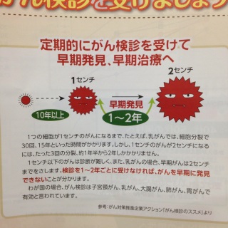 ���̋��̎�ᇂ�10�p���炢����������